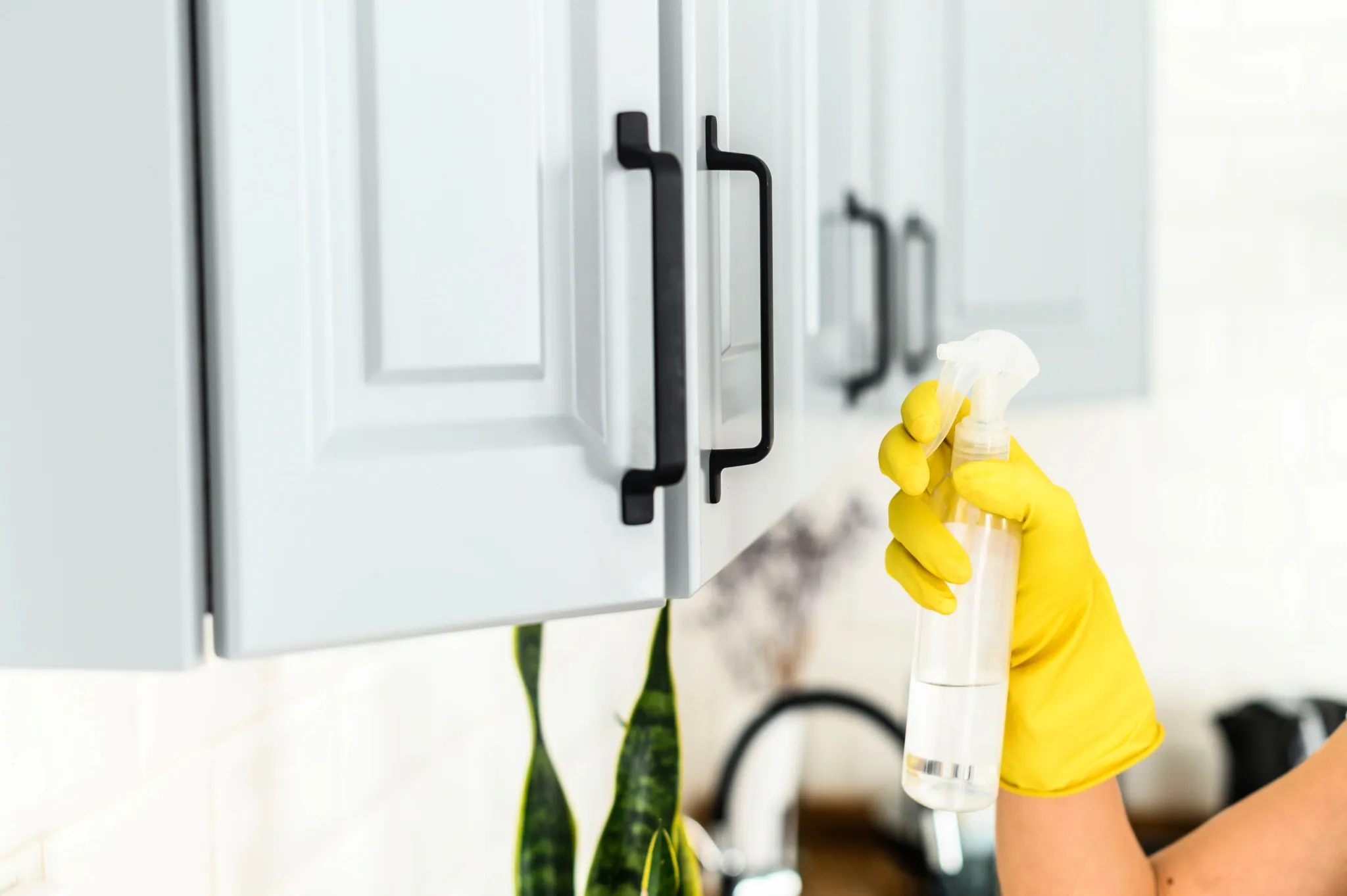 Clean Kitchen Cabinets