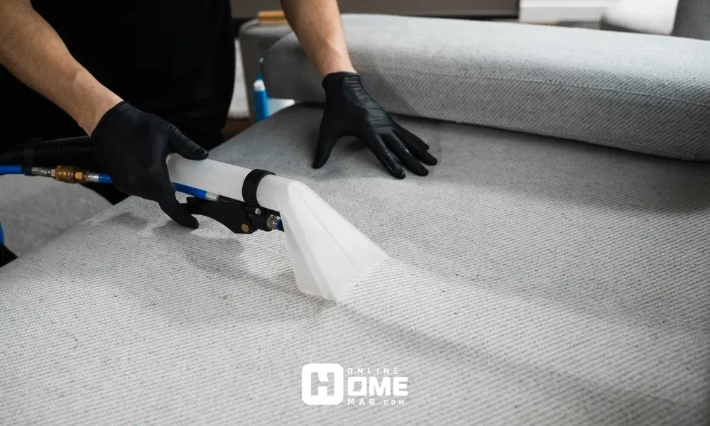 Cleaning Upholstery, Step-by-Step Guide for Everyday Maintenance