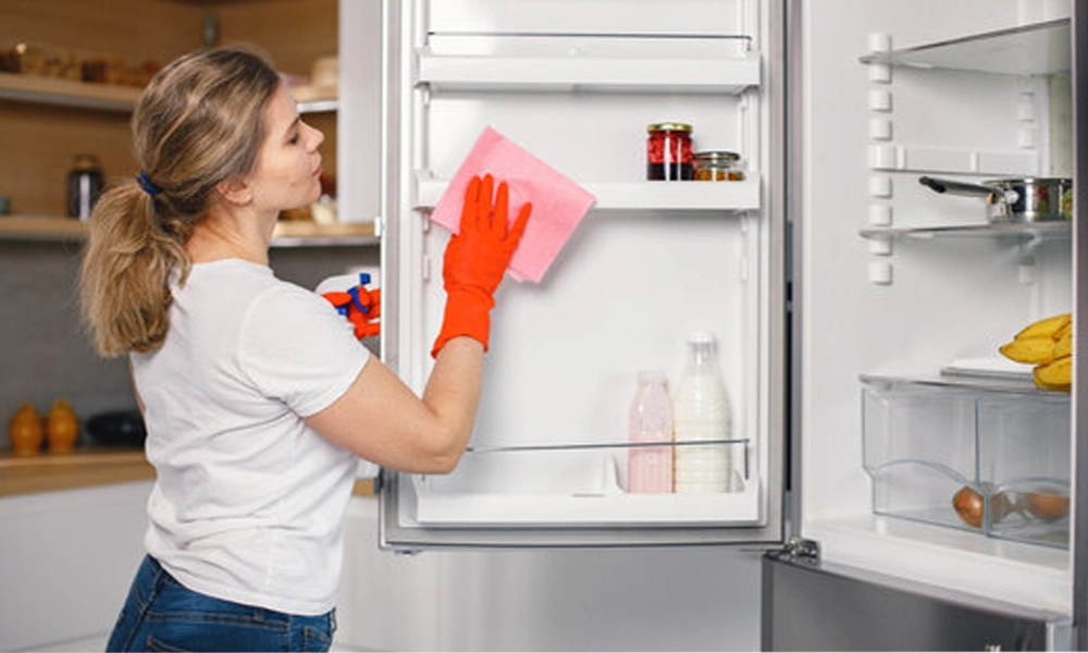 How to clean the refrigerator inside in 8 steps