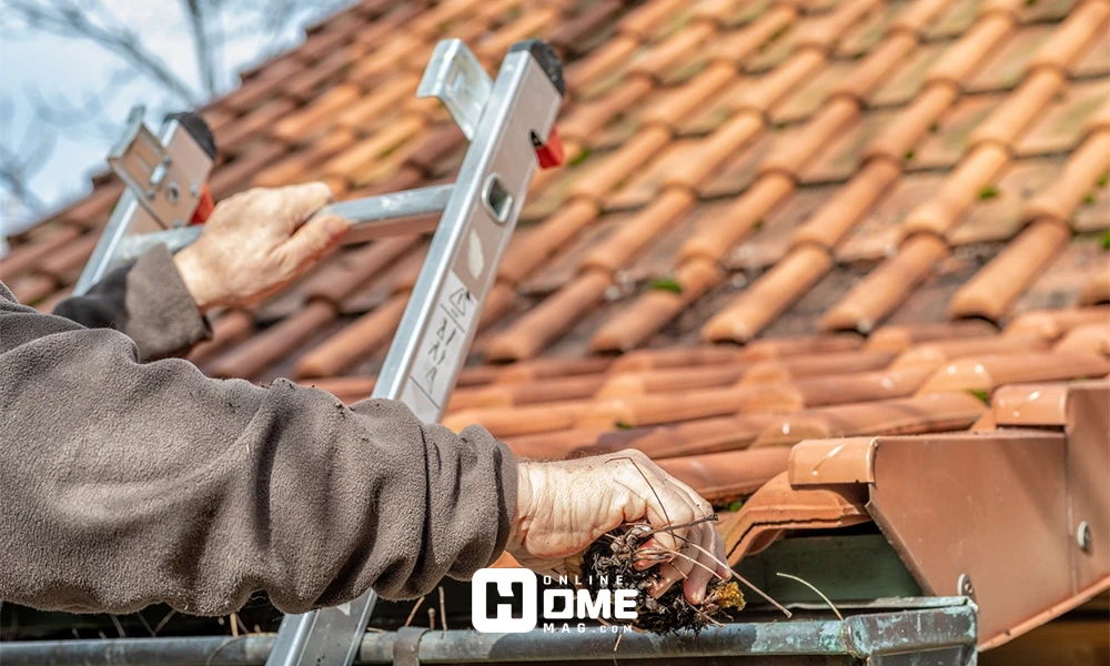 Alt text: "Man standing on a ladder removing leaves and dirt from a house roof gutter by hand."