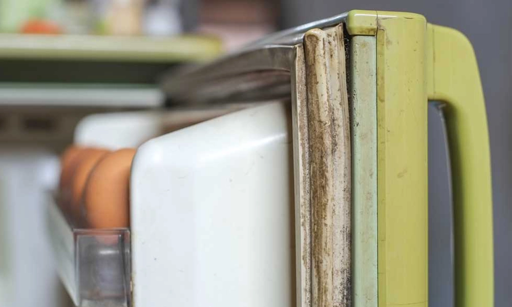 how to clean refrigerator seal mold? Update 2025